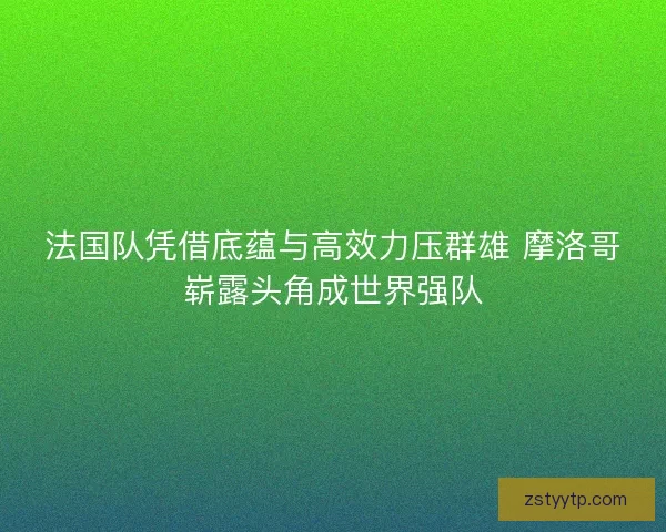 法国队凭借底蕴与高效力压群雄 摩洛哥崭露头角成世界强队