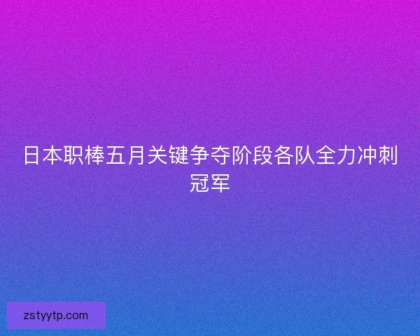 日本职棒五月关键争夺阶段各队全力冲刺冠军